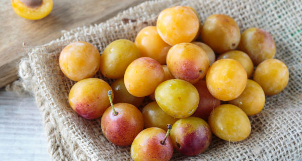 Prunes Mirabelles